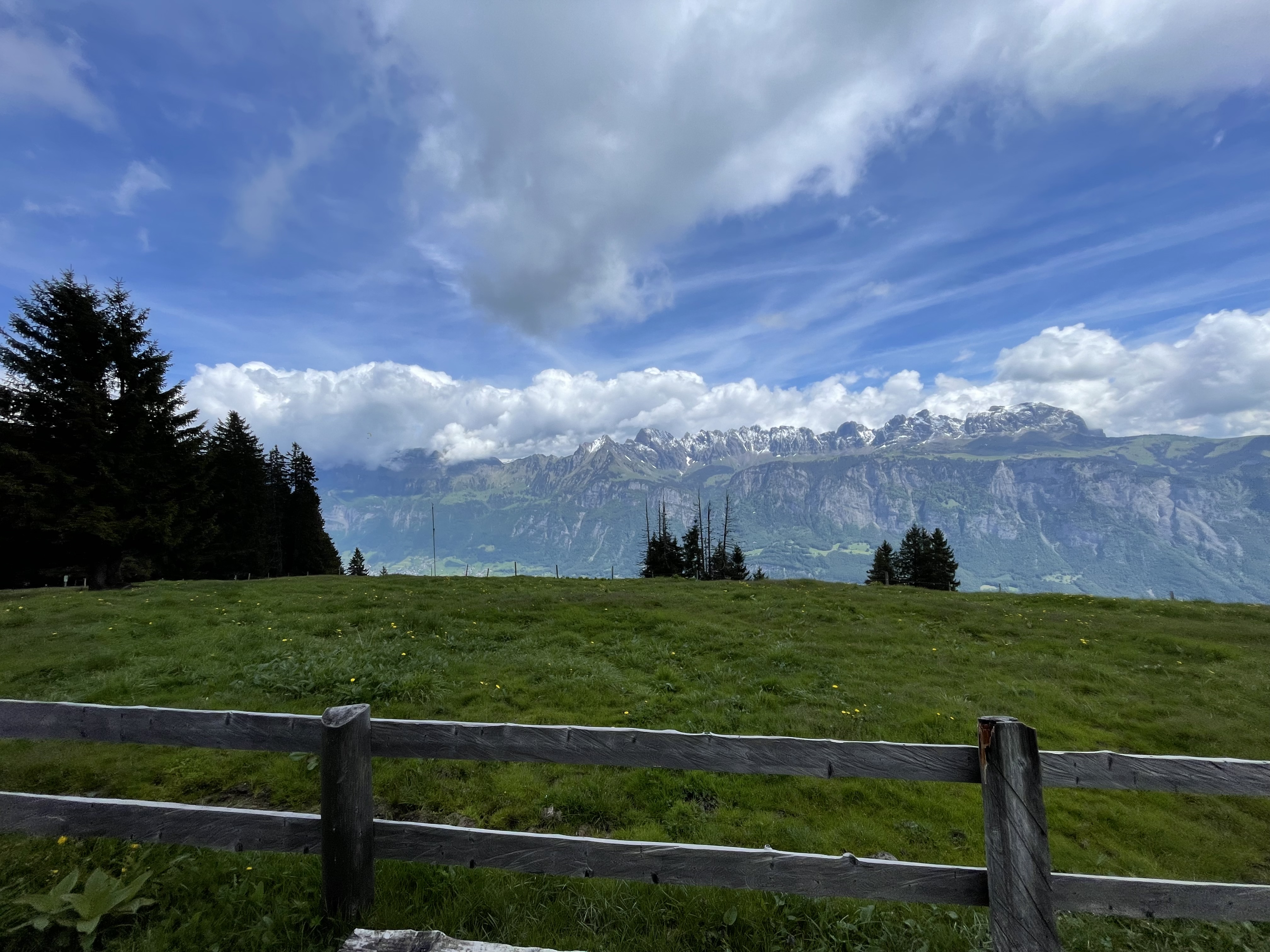 7C013B1D-0DAC-41F4-B6EA-8FD3B3C714C5.jpeg